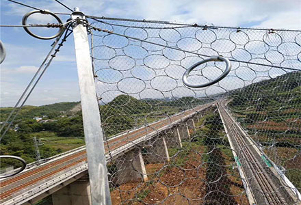 被動(dòng)防護(hù)網(wǎng)